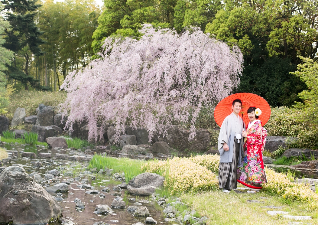 桜のシーズン