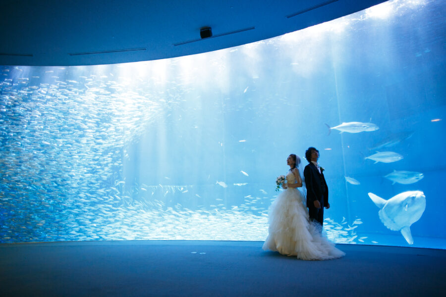 名古屋港水族館(マンボー)