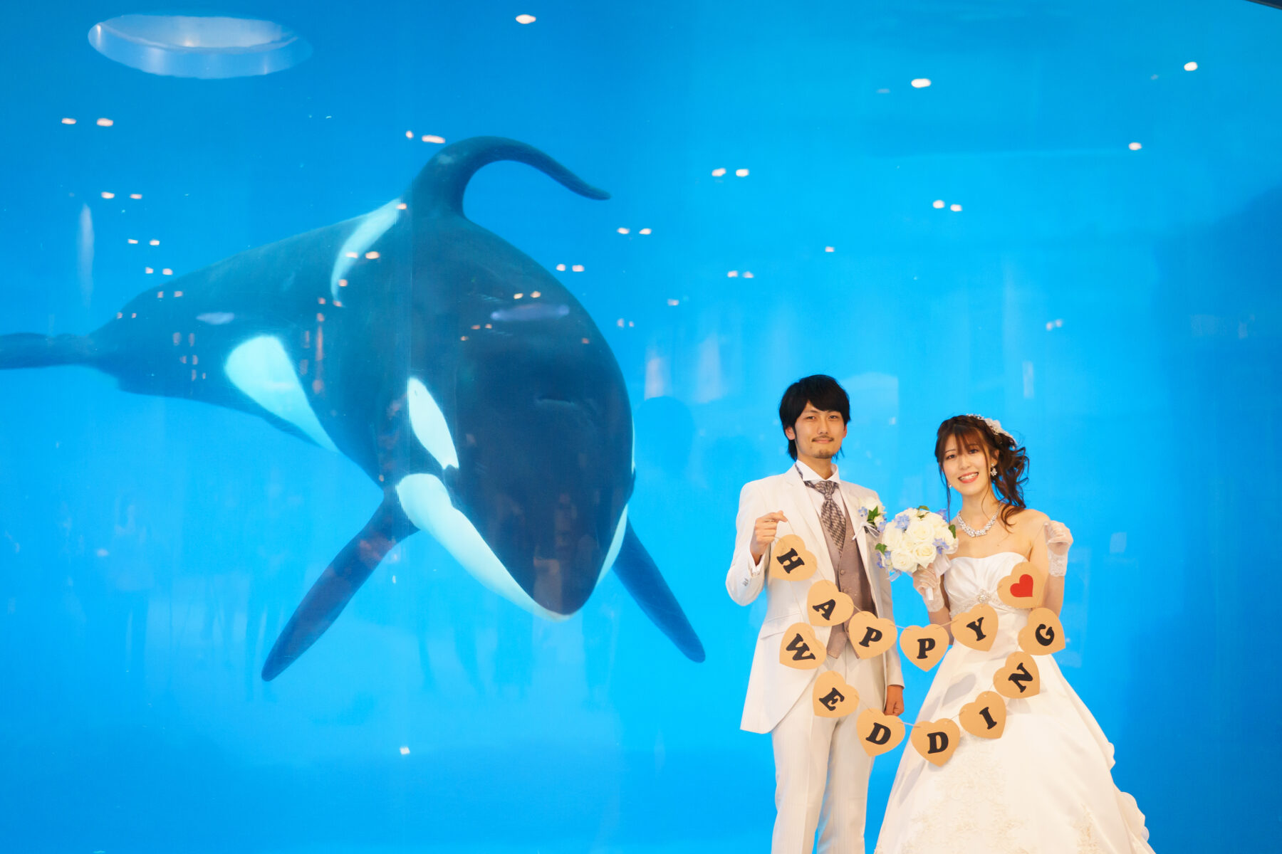 名古屋港水族館(シャチ)