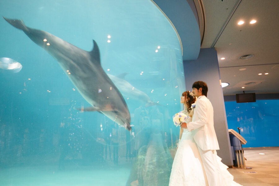 名古屋港水族館(イルカ)