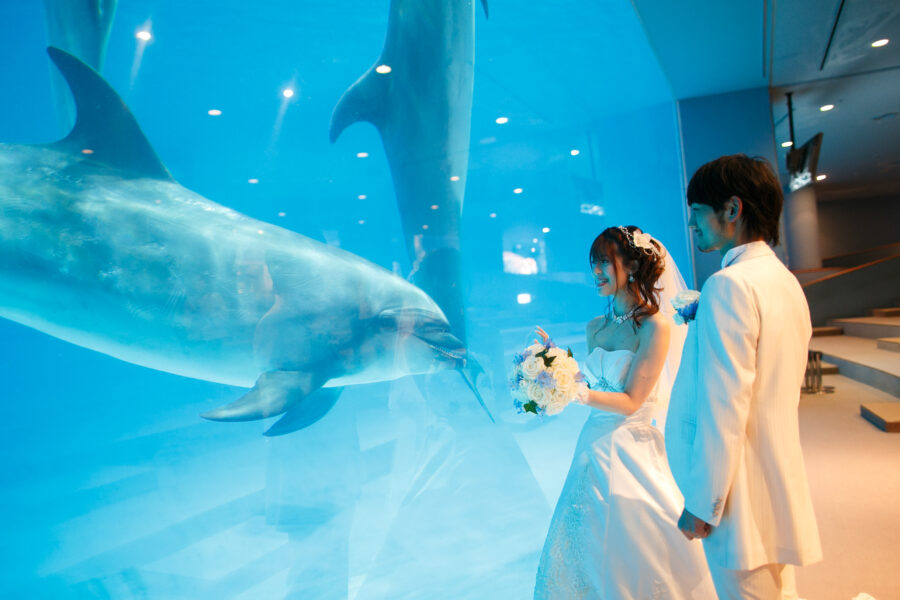 名古屋港水族館(シャチ)