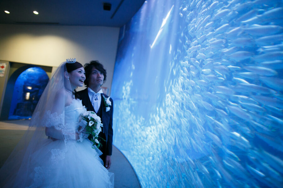 名古屋港水族館(イワシ)