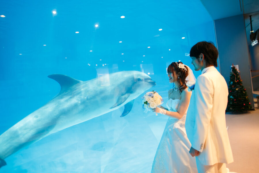 名古屋港水族館(イルカ)